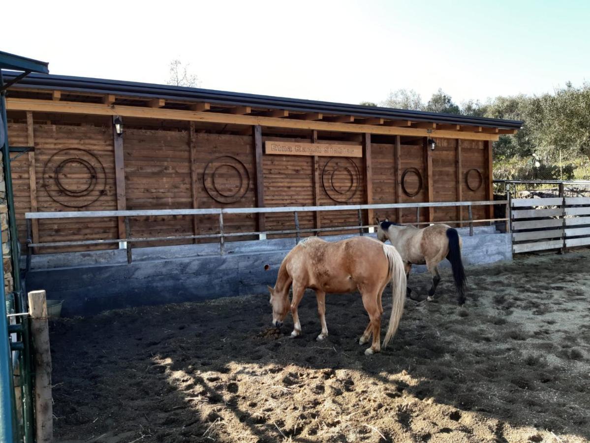 B&B Etna Ranch Piedimonte Etneo Eksteriør bilde